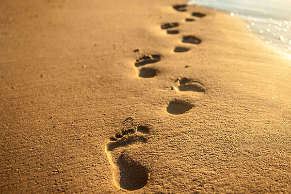 Tamper-proof audit trails