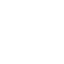 Audit-Trail-Preservation