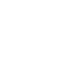 SSO-Functionality