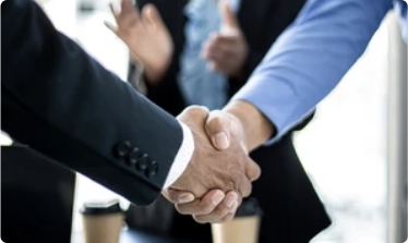 System Integrators​